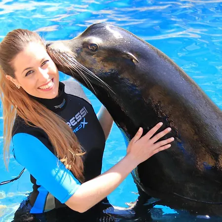 A1015 - Madrimar 2004 Finestrat 아파트